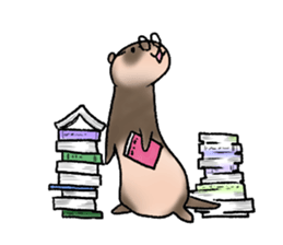 love ferret sticker #2888549