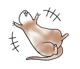 love ferret sticker #2888551