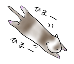 love ferret sticker #2888553