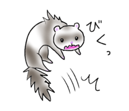 love ferret sticker #2888554