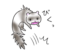 love ferret sticker #2888554