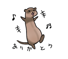 love ferret sticker #2888556