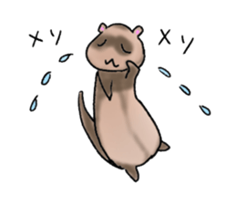 love ferret sticker #2888557
