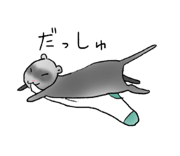 love ferret sticker #2888558