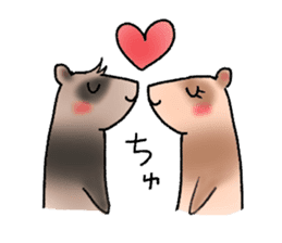 love ferret sticker #2888561