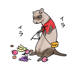 love ferret sticker #2888562