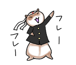 love ferret sticker #2888567