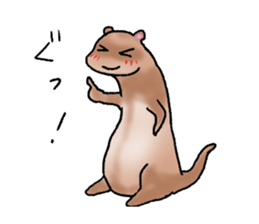 love ferret sticker #2888568