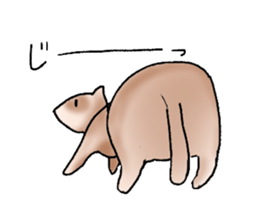 love ferret sticker #2888570