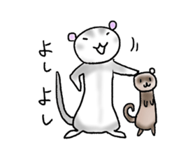 love ferret sticker #2888571