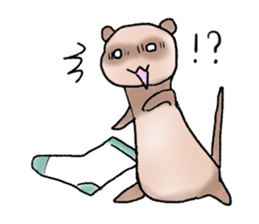 love ferret sticker #2888574