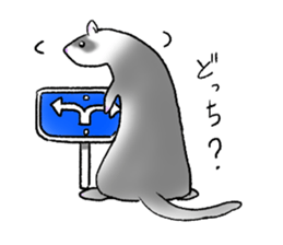 love ferret sticker #2888576