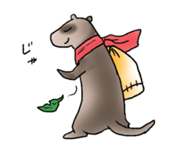 love ferret sticker #2888577