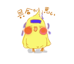 cockatiellove sticker #2889504