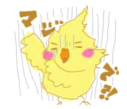 cockatiellove sticker #2889519