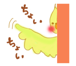 cockatiellove sticker #2889522