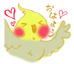 cockatiellove sticker #2889526