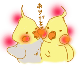 cockatiellove sticker #2889529
