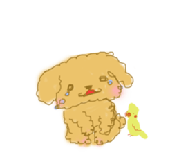 cockatiellove sticker #2889532