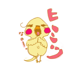 cockatiellove sticker #2889537