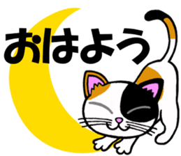 Tortoiseshell cat and the moon sticker #2889541