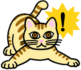 I am a cat.Thank you.2! sticker #2889899