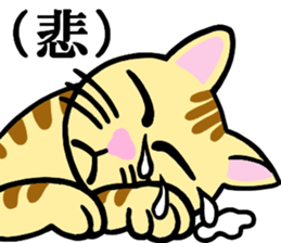 I am a cat.Thank you.2! sticker #2889914