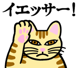 I am a cat.Thank you.2! sticker #2889919