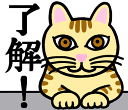 I am a cat.Thank you.2! sticker #2889920