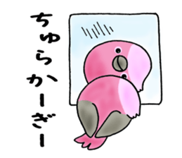 a regional accent okinawa japan sticker #2891957