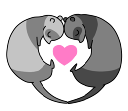 Cute ferrets sticker #2892518