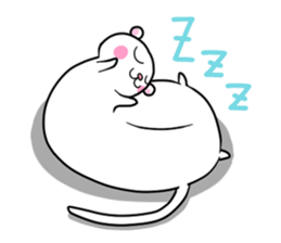 Cute ferrets sticker #2892520