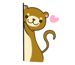 Cute ferrets sticker #2892523