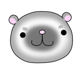 Cute ferrets sticker #2892538