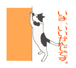 of cat lover,by cat lover,for cat lover sticker #2895298