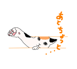 of cat lover,by cat lover,for cat lover sticker #2895300