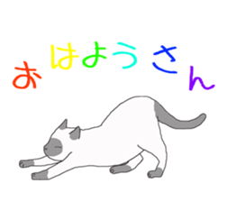 of cat lover,by cat lover,for cat lover sticker #2895304