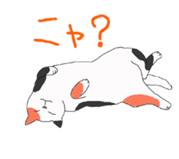 of cat lover,by cat lover,for cat lover sticker #2895305