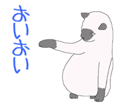 of cat lover,by cat lover,for cat lover sticker #2895308