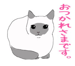 of cat lover,by cat lover,for cat lover sticker #2895309