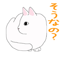 of cat lover,by cat lover,for cat lover sticker #2895310