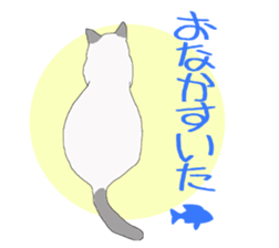 of cat lover,by cat lover,for cat lover sticker #2895311