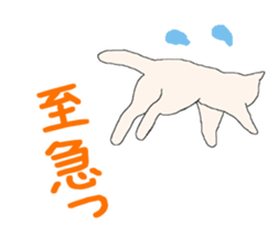 of cat lover,by cat lover,for cat lover sticker #2895313