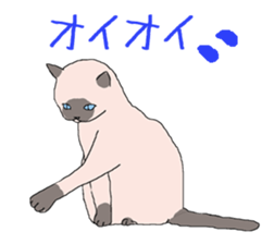 of cat lover,by cat lover,for cat lover sticker #2895315