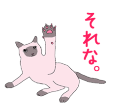 of cat lover,by cat lover,for cat lover sticker #2895318