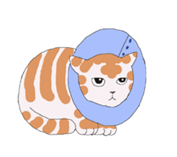 of cat lover,by cat lover,for cat lover sticker #2895323