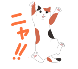 of cat lover,by cat lover,for cat lover sticker #2895327