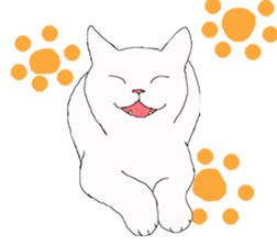 of cat lover,by cat lover,for cat lover sticker #2895328