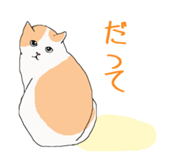 of cat lover,by cat lover,for cat lover sticker #2895330