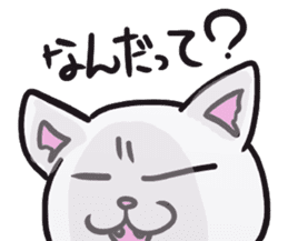 Daily life of the "SHIRONEKO" sticker #2895396